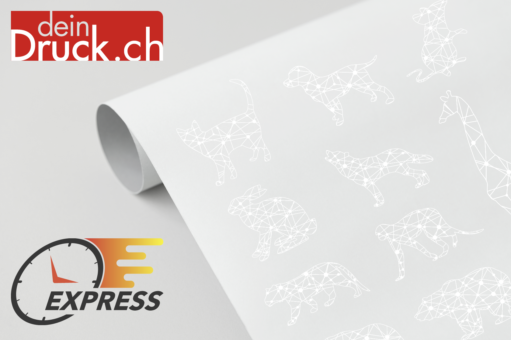 EXPRESS – DTF Transferdruck - WEISS